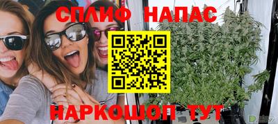 МДПВ Краснодар