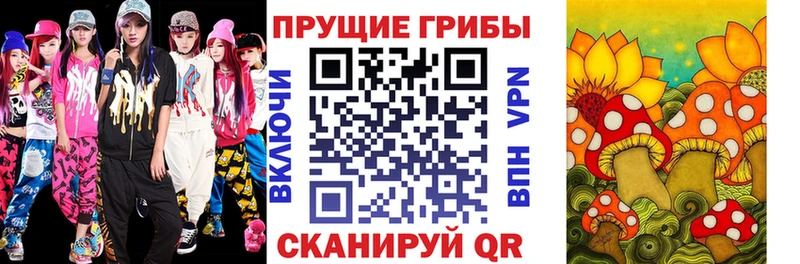 Псилоцибиновые грибы Psilocybe  Ярцево 